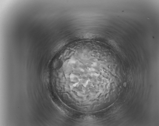 X0000067390683200604071754