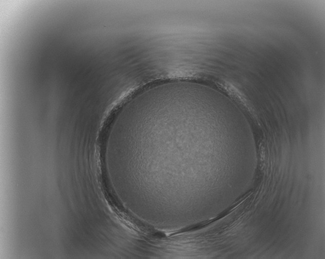 X0000067390684200604071754