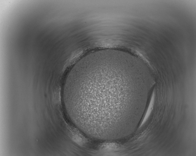 X0000067390685200604071754