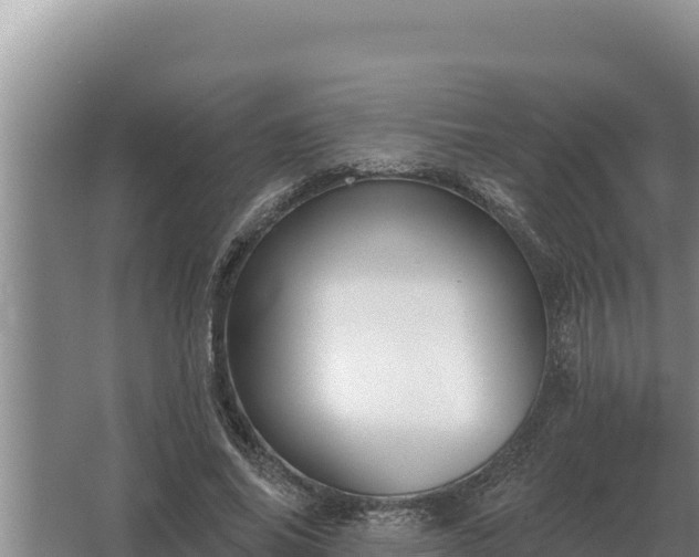 X0000067390686200604071754