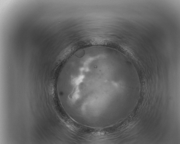 X0000067390687200604071754