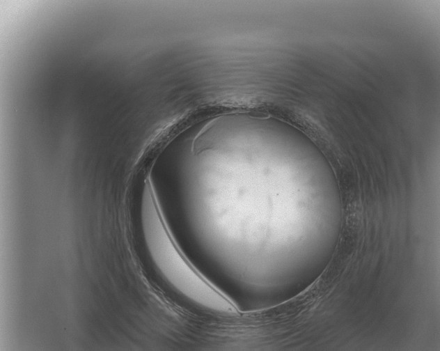 X0000067390688200604071754