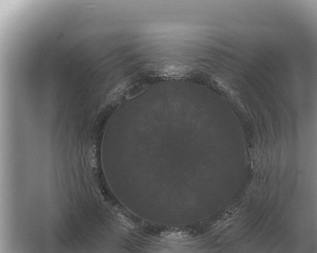 X0000067390689200604071754