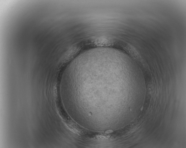 X0000067390690200604071754