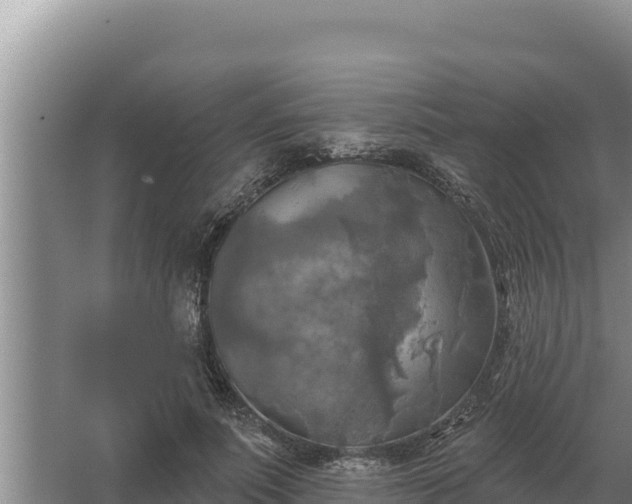 X0000067390691200604071754