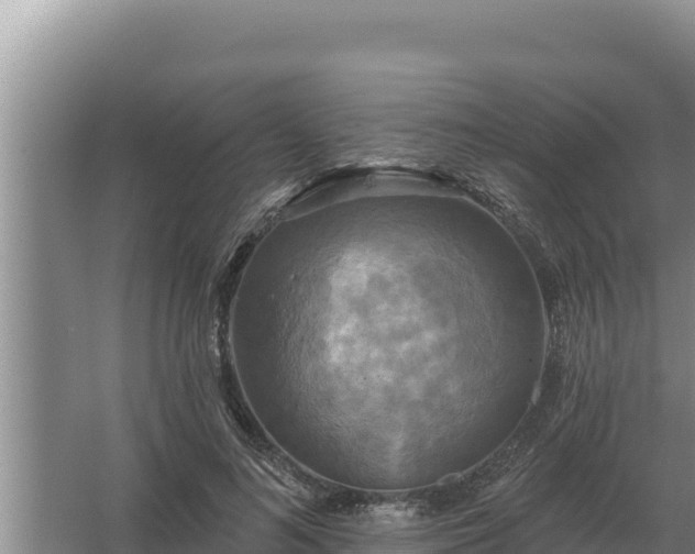 X0000067390692200604071754