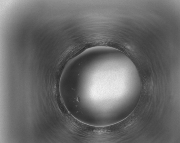 X0000067390693200604071754