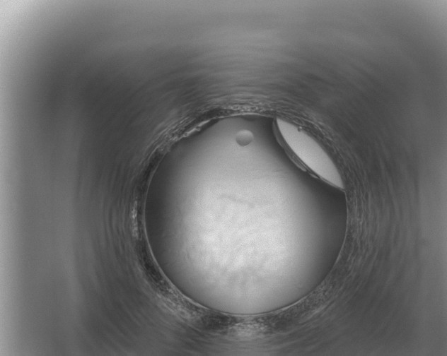 X0000067390696200604071754