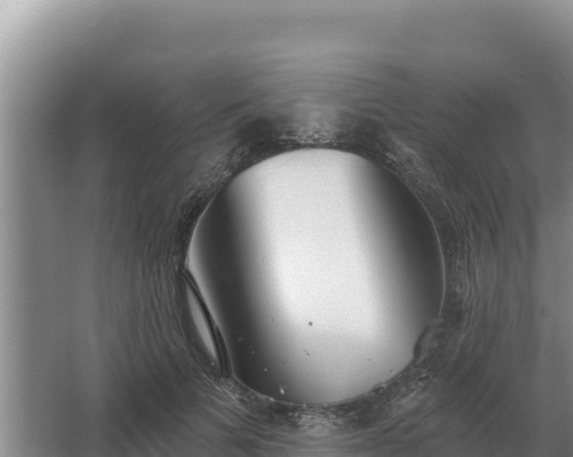 X0000067390697200604071754