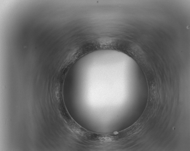 X0000067390698200604071754