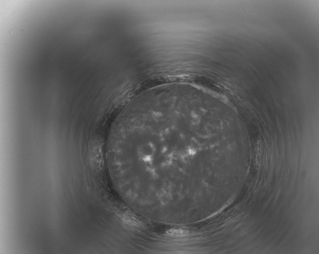 X0000067390699200604071754