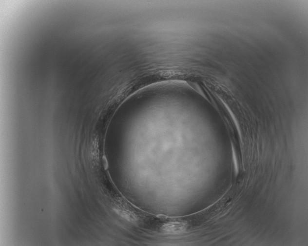 X0000067390700200604071754