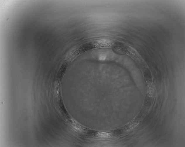 X0000067390701200604071754