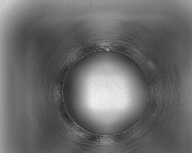 X0000067390702200604071754