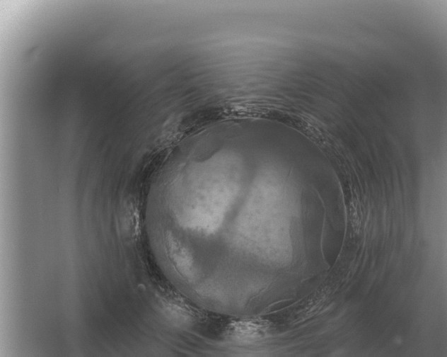 X0000067390703200604071754