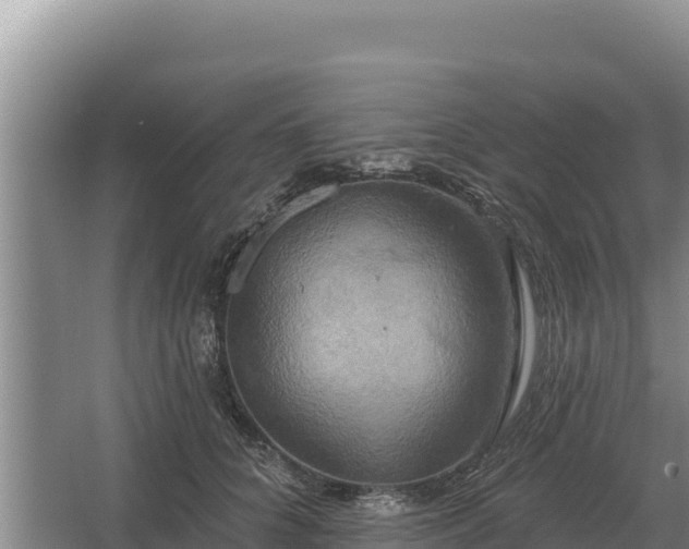 X0000067390704200604071754