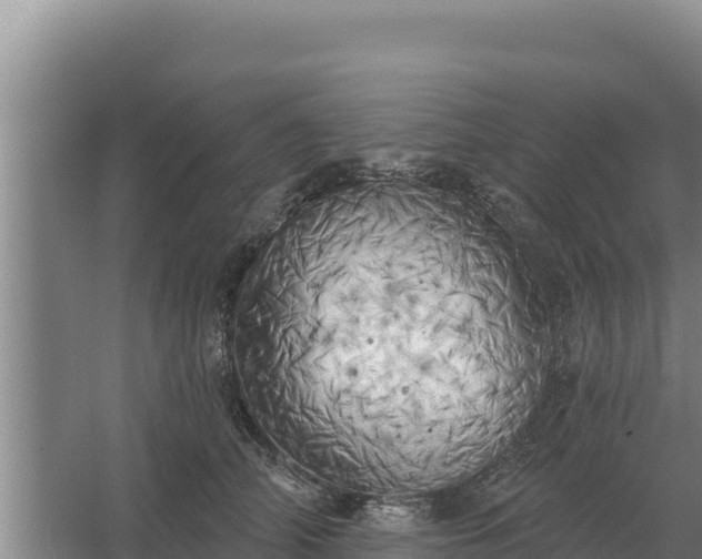 X0000067390706200604071754