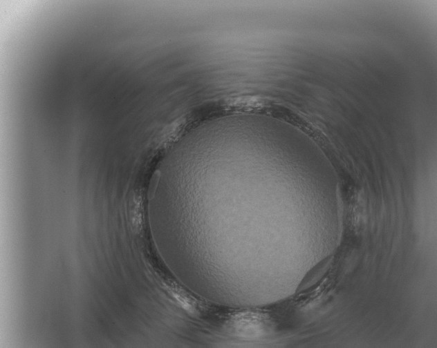 X0000067390708200604071754