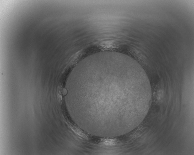 X0000067390710200604071753