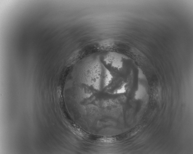 X0000067390711200604071753