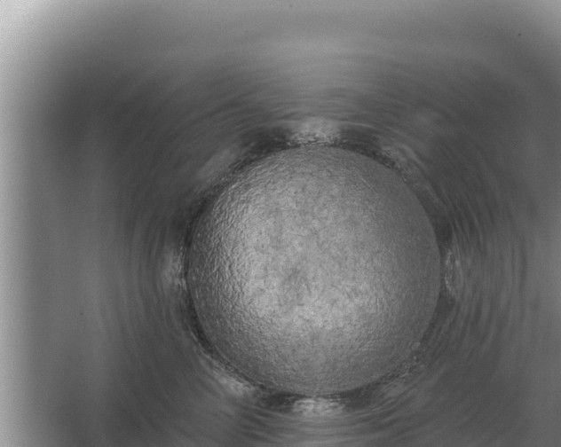 X0000067390714200604071753