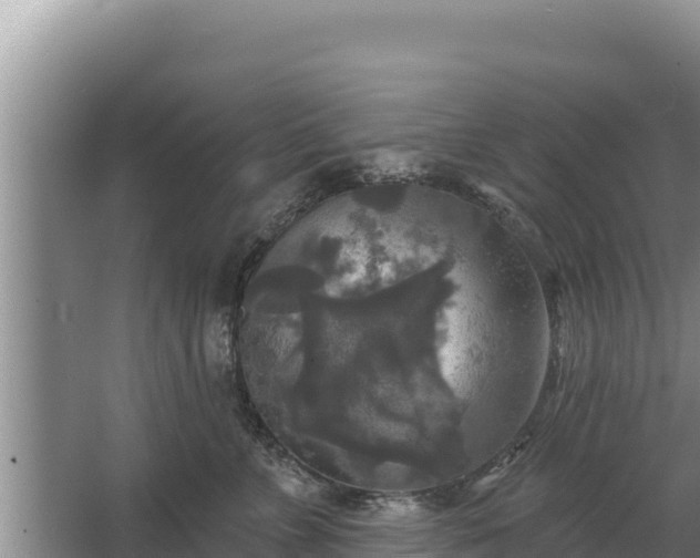 X0000067390715200604071753