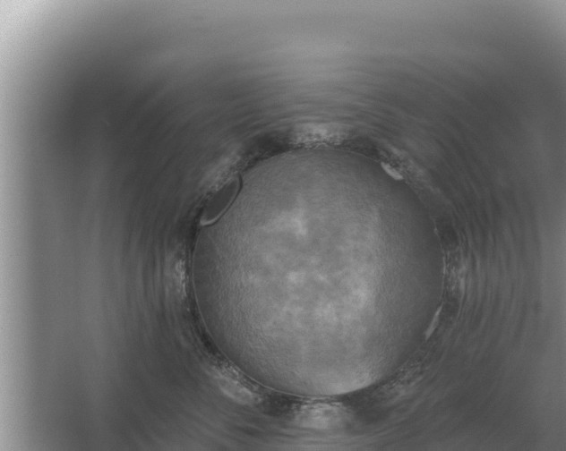 X0000067390716200604071753