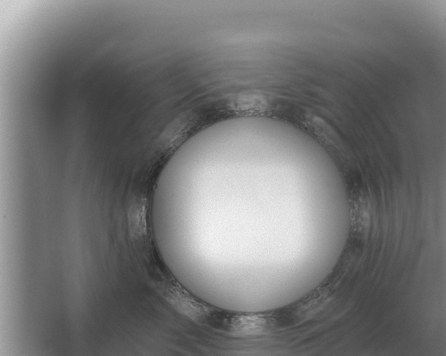 X0000067390717200604071753