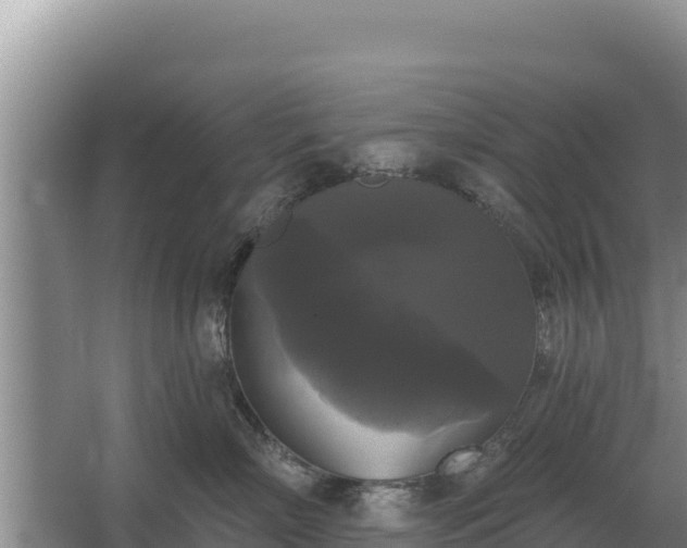 X0000067390718200604071753