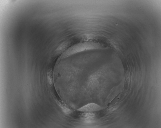 X0000067390719200604071753