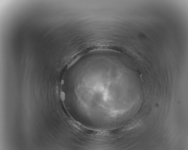 X0000067390720200604071753