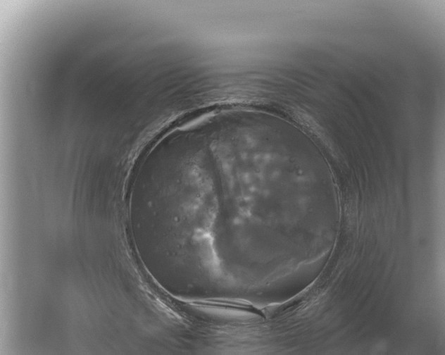 X0000067390721200604071753