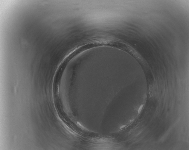 X0000067390722200604071753