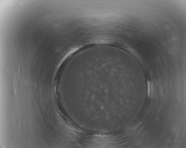 X0000067390723200604071753