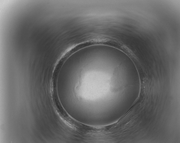 X0000067390726200604071753