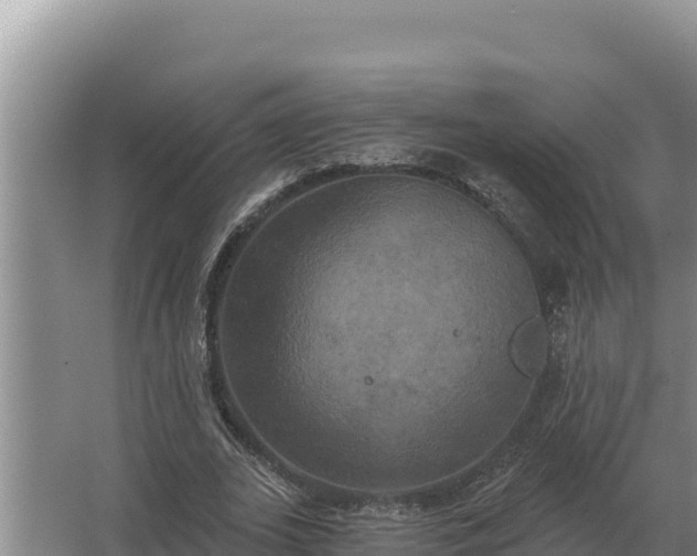 X0000067390727200604071753