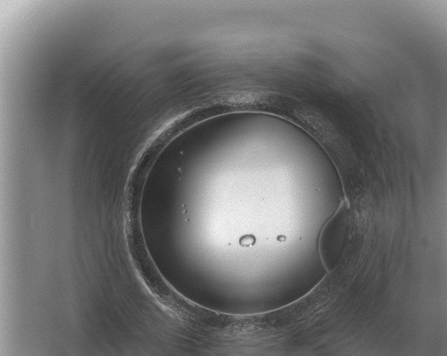 X0000067390728200604071753