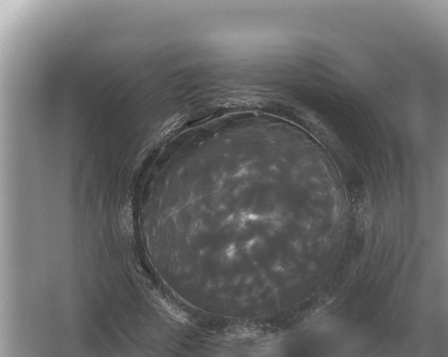 X0000067390729200604071753