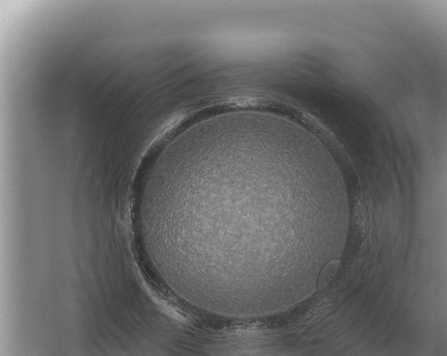 X0000067390730200604071753