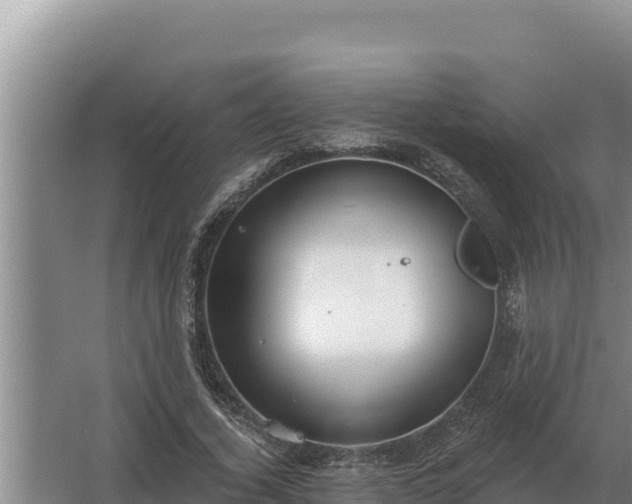 X0000067390732200604071753