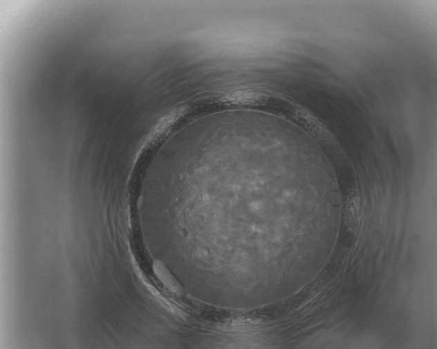 X0000067390734200604071753