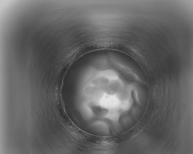 X0000067390737200604071753