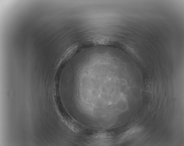 X0000067390738200604071753