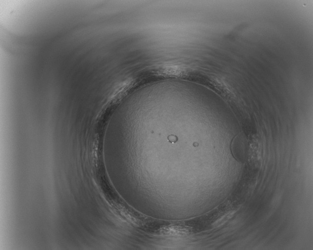 X0000067390739200604071753