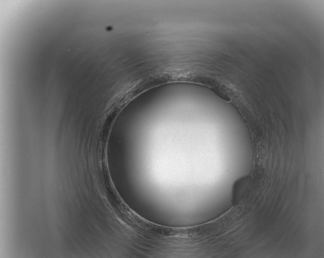 X0000067390740200604071753