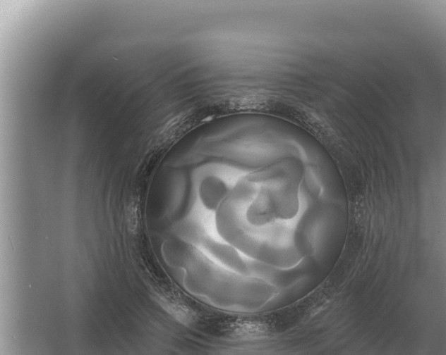 X0000067390741200604071753