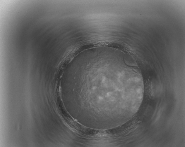 X0000067390742200604071753