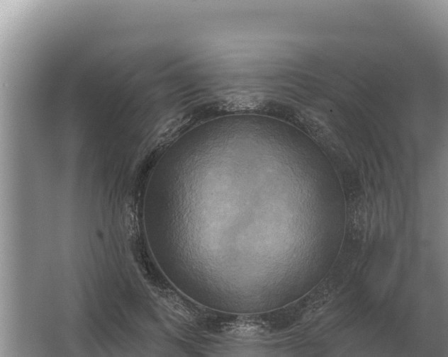 X0000067390743200604071753