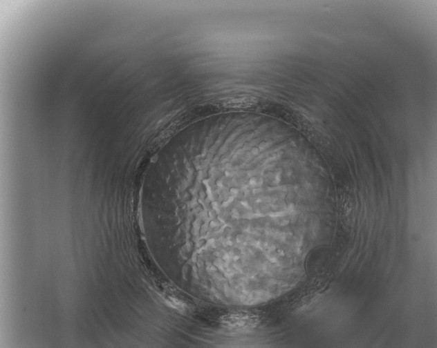 X0000067390745200604071753