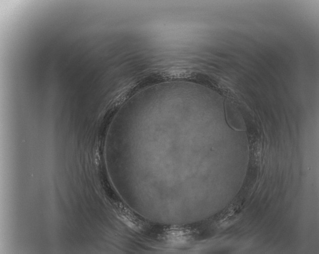 X0000067390746200604071753